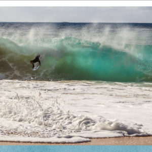 Sandy's Boogie Boarder