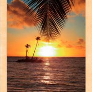Kahala Palm Leaf Sunrise
